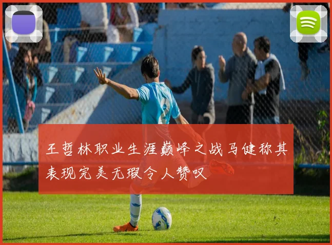 王哲林职业生涯巅峰之战马健称其表现完美无瑕令人赞叹