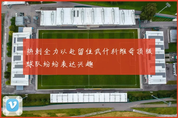热刺全力以赴留住武什科维奇顶级球队纷纷表达兴趣