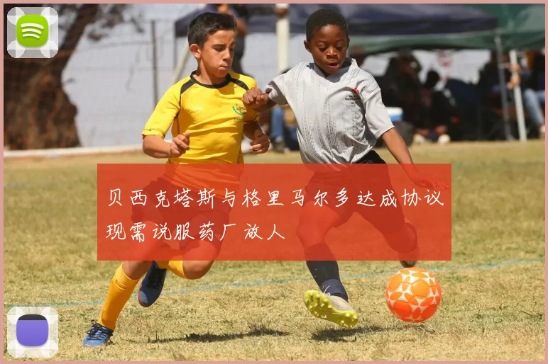 贝西克塔斯与格里马尔多达成协议现需说服药厂放人